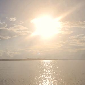 Meet your Posher, Brandi